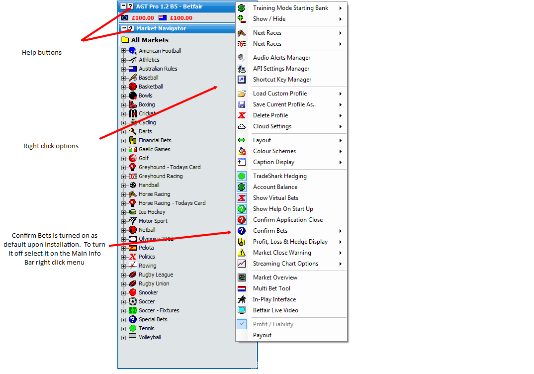 Geeks Toy Betfair Trading Software