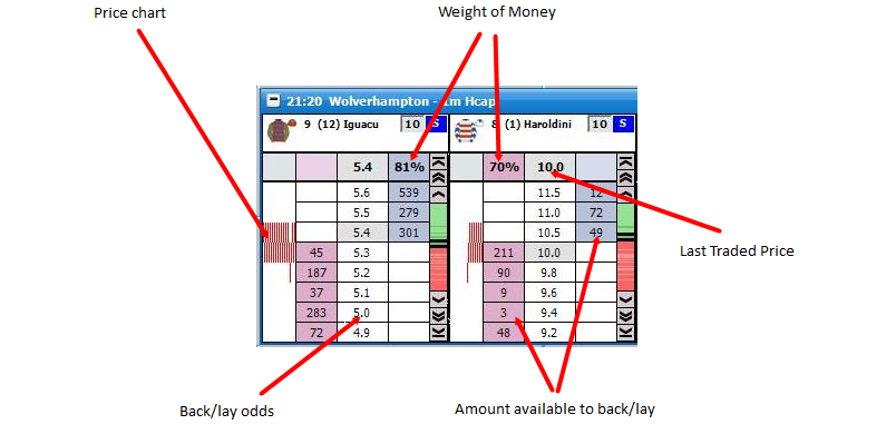 To centre the Ladder you left click in the price column.